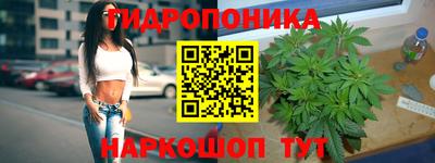 ECSTASY Изобильный