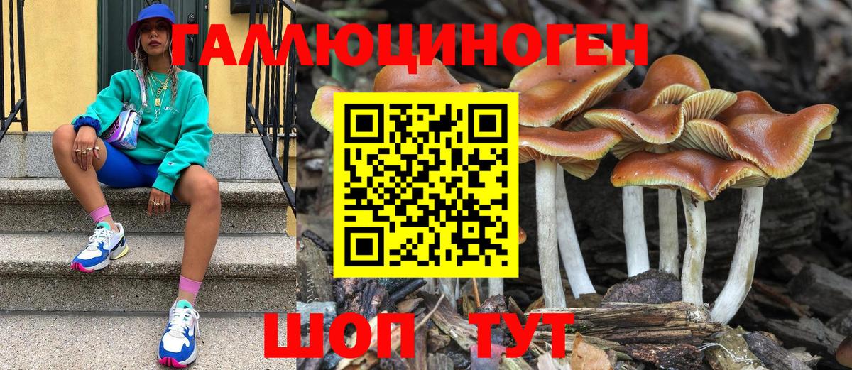 Лесозаводск  как найти   Псилоцибиновые грибы GOLDEN TEACHER  Вход с VPN  Галлюциногенные грибы Magic Shrooms 